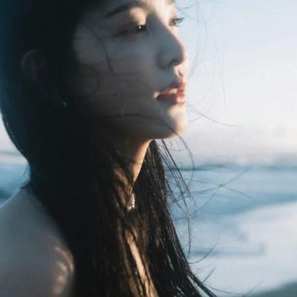 屋顶上的轻骑兵